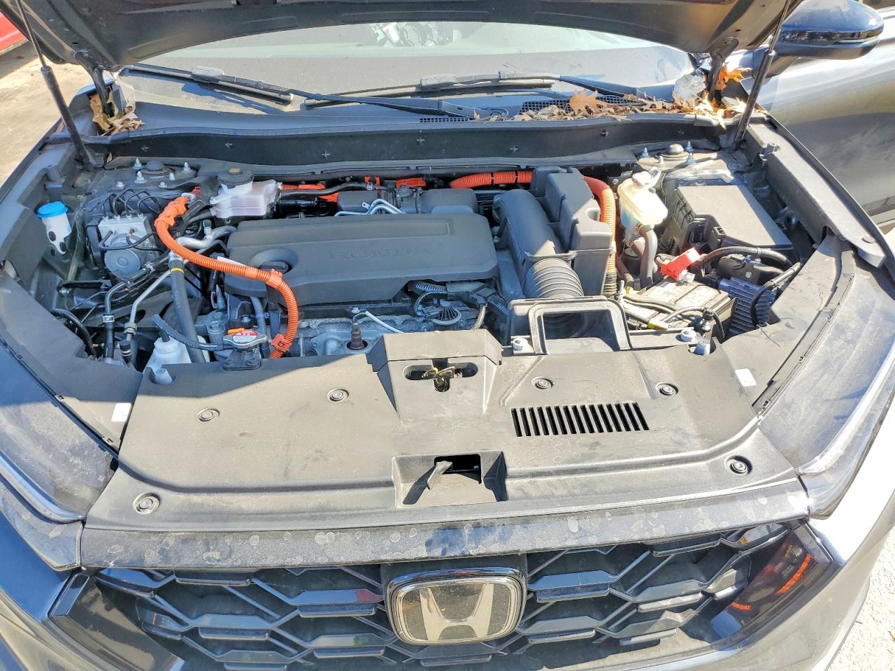 2025 Honda Crv VIN 7FARS6H81SE022547 photo 12