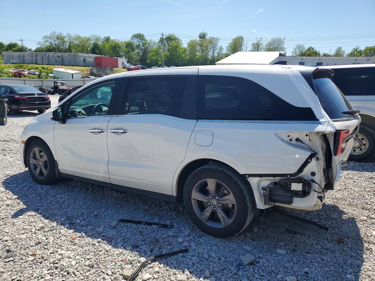 2024 Honda Odyssey VIN 5FNRL6H5XRB009210 photo 2