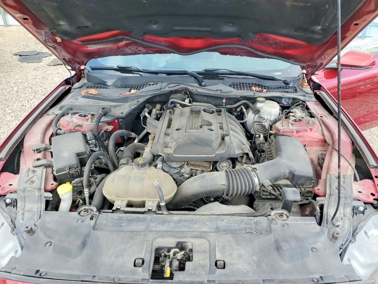 2018 Ford Mustang VIN 1FA6P8TH4J5181216 photo 11
