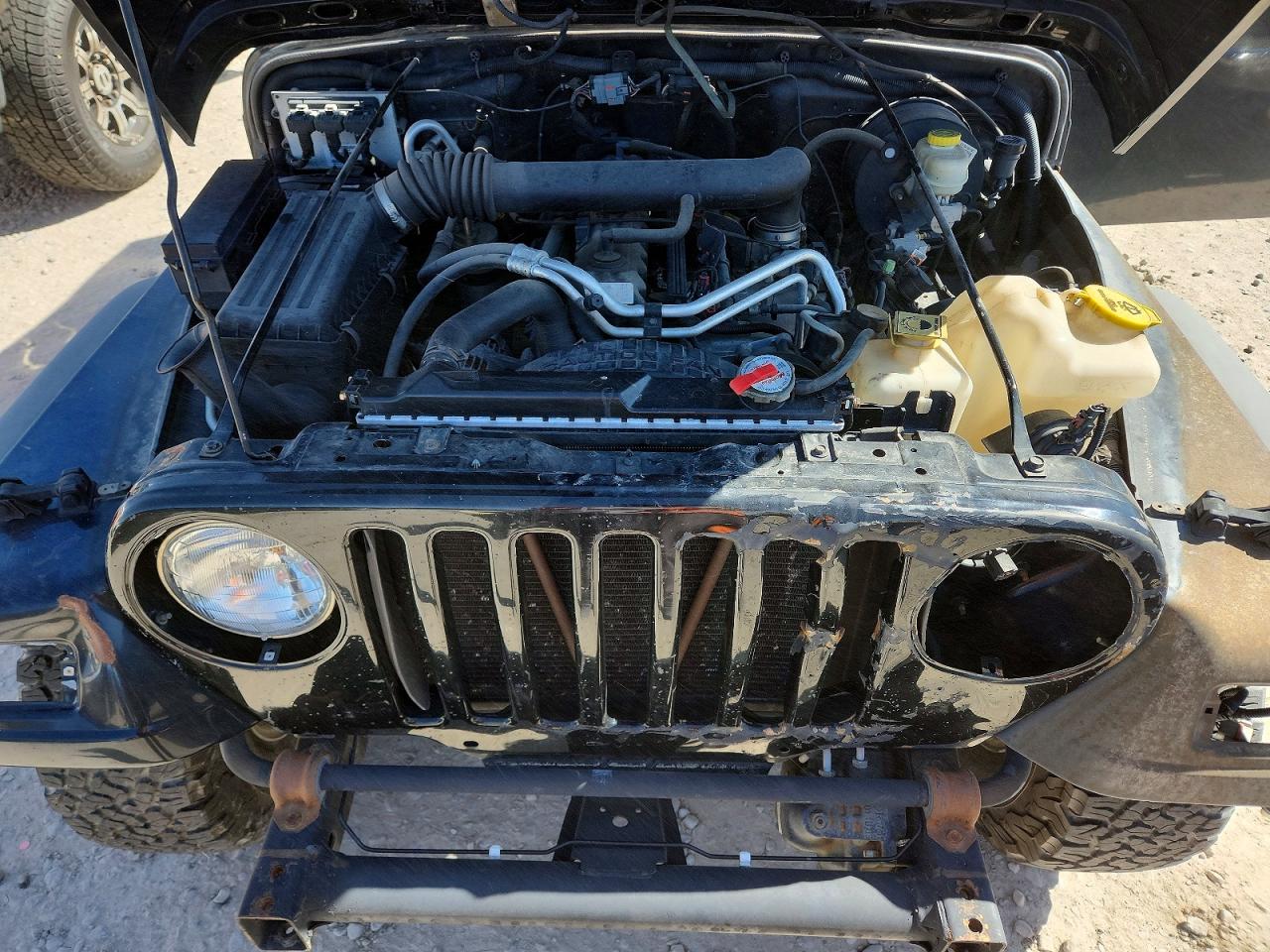2004 Jeep Wrangler / VIN 1J4FA49S44P734151 photo 12