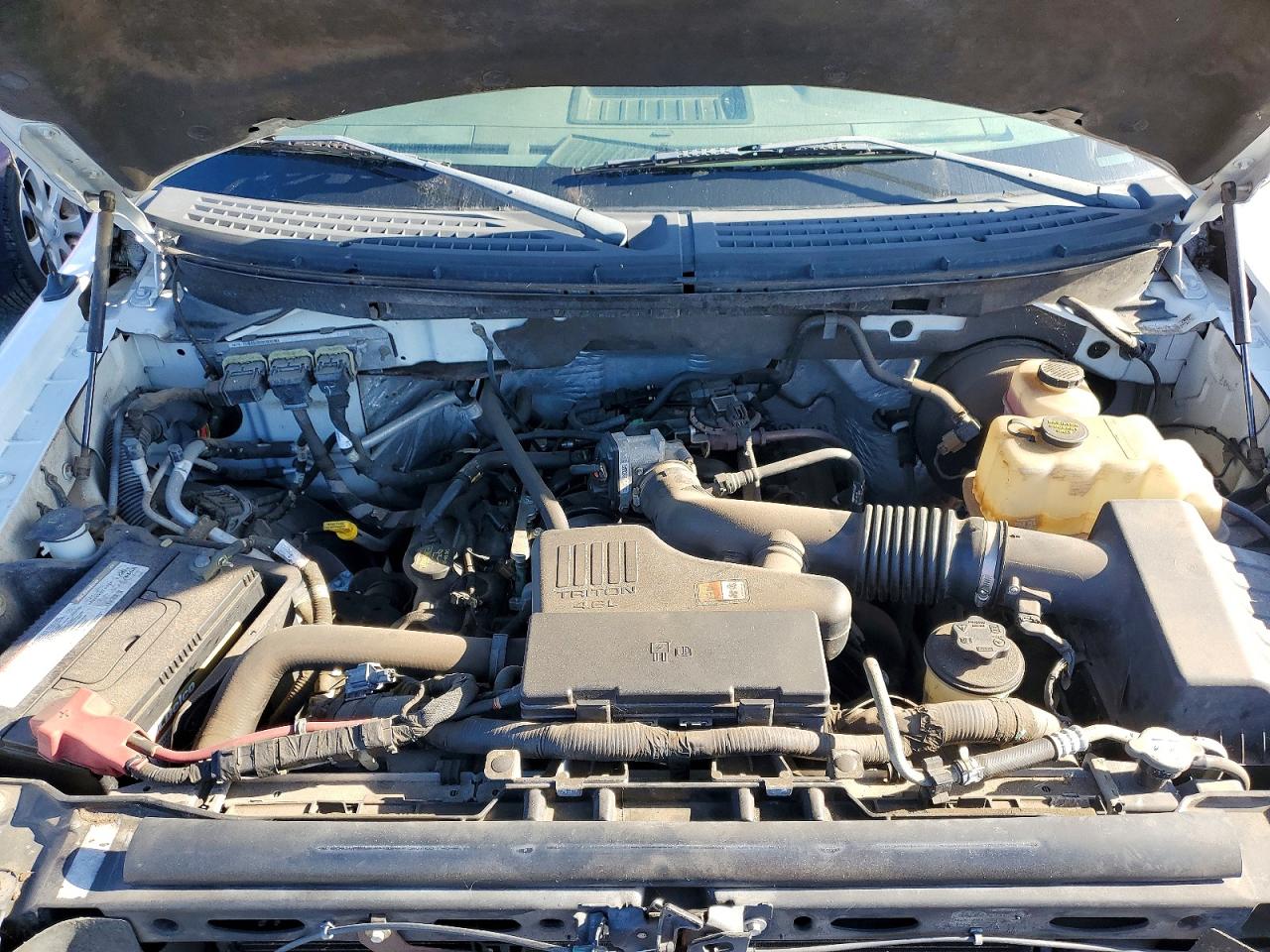 2010 Ford F150 VIN 1FTMF1CW5AKB37351 photo 11