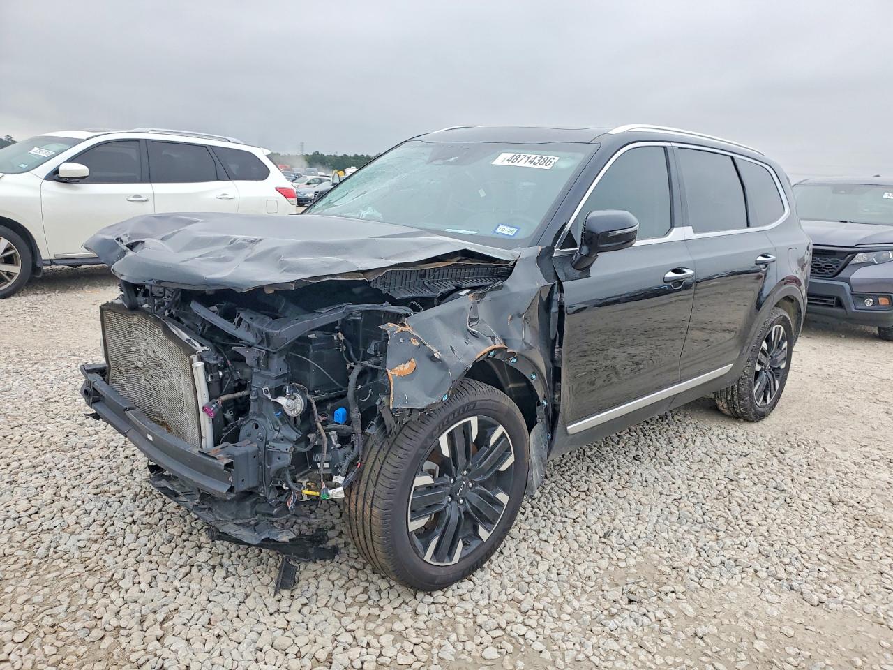 2023 Kia Telluride VIN 5XYP5DGC6PG365312 photo 1