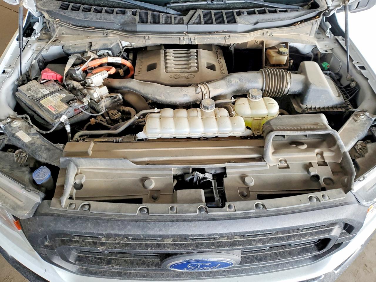 2021 Ford F150 VIN 1FTFW1ED3MFD11385 photo 11