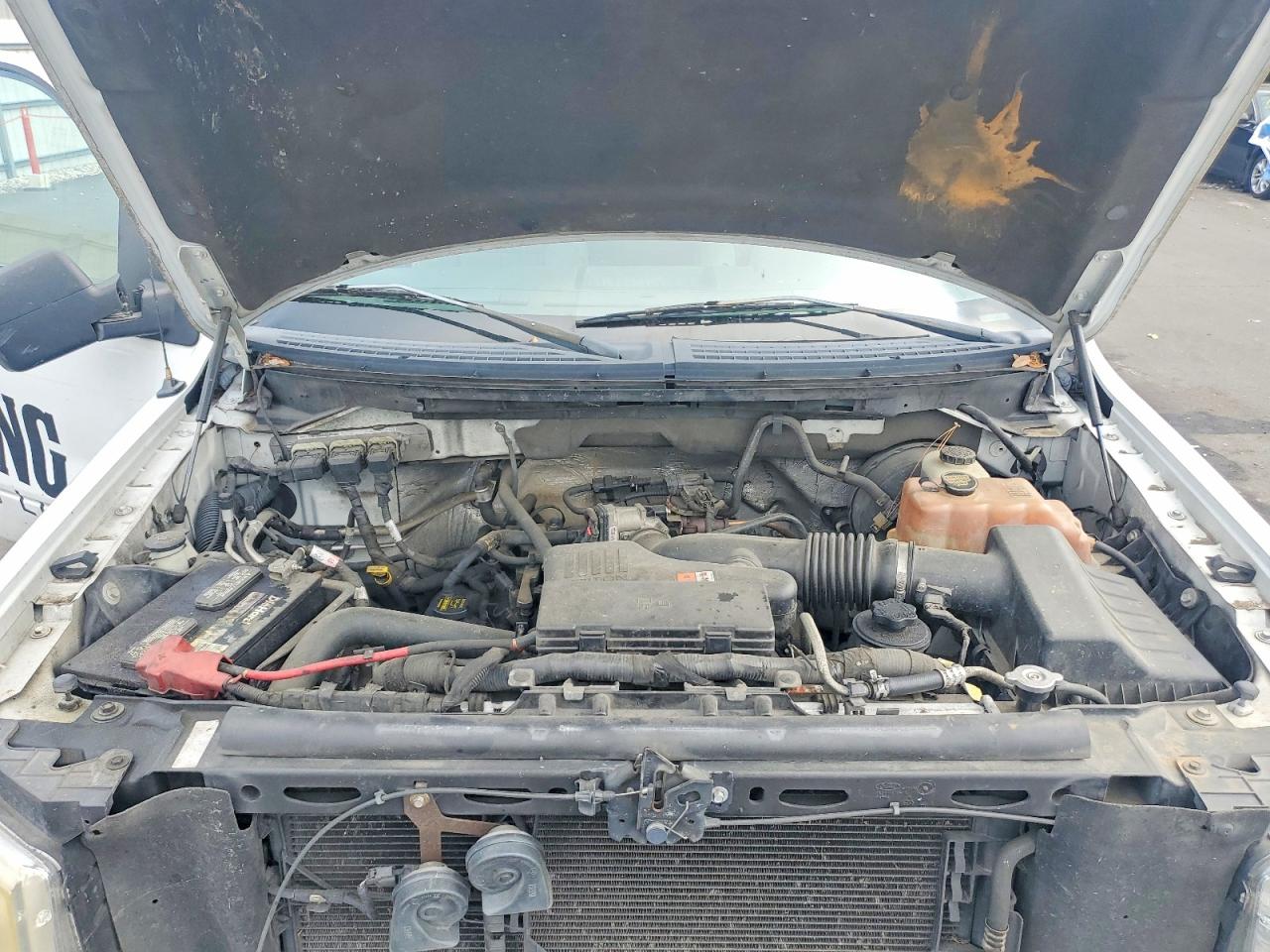 2010 Ford F150 VIN 1FTMF1CW3AKE30889 photo 11