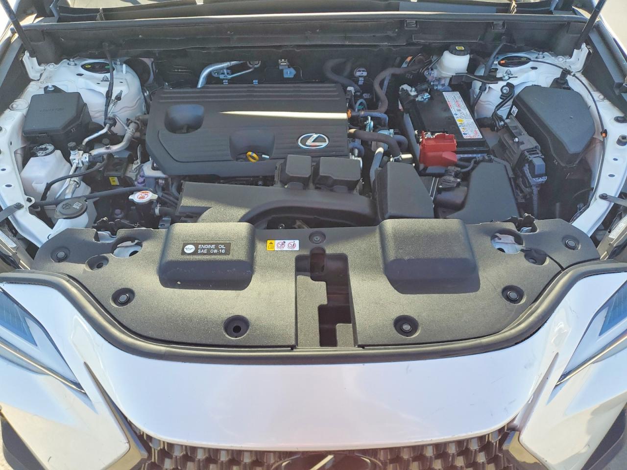 2025 Lexus Nx VIN JTJADCAZ6S5024491 photo 12