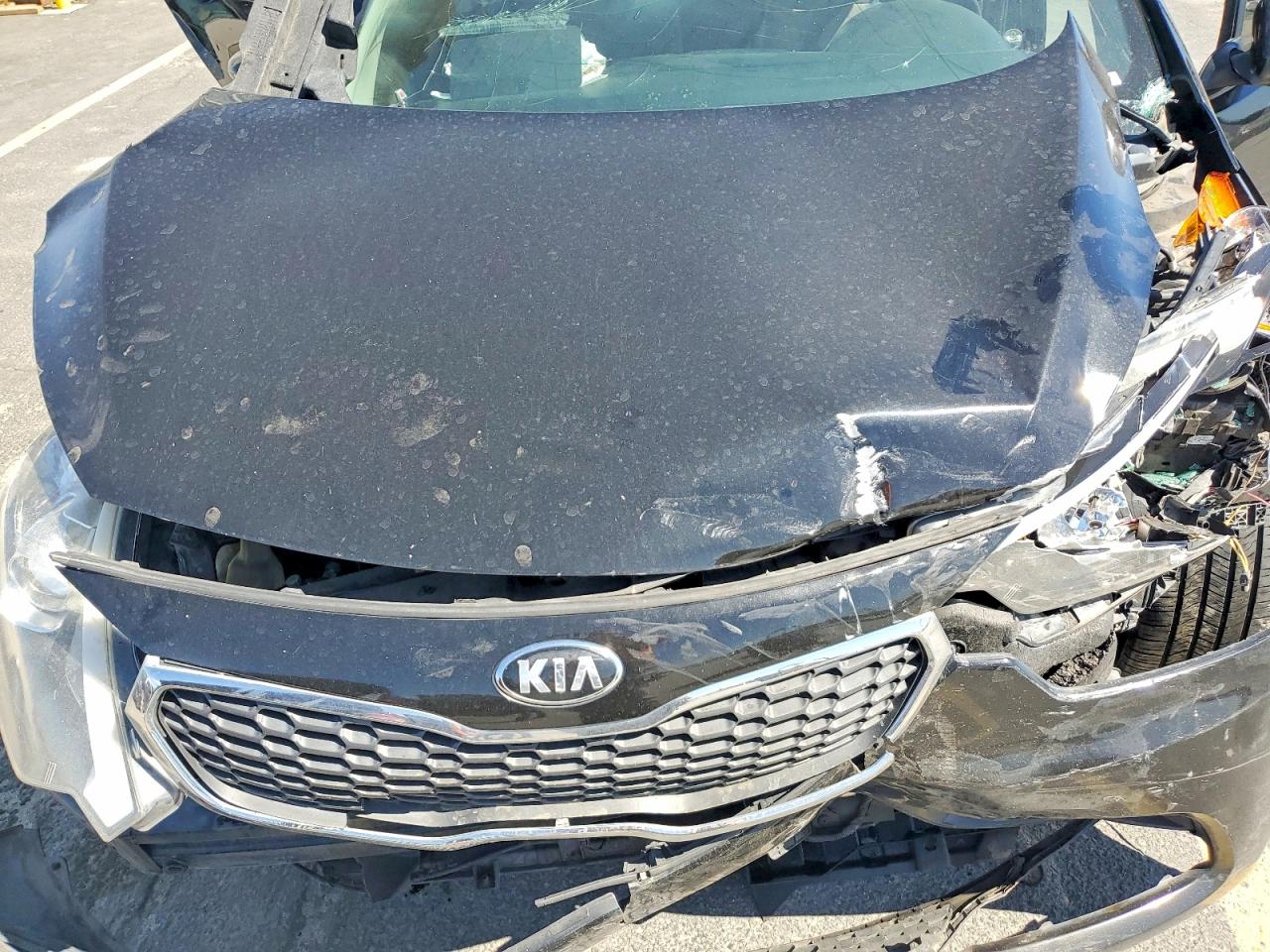 2014 Kia Forte VIN KNAFK4A64E5156743 photo 11