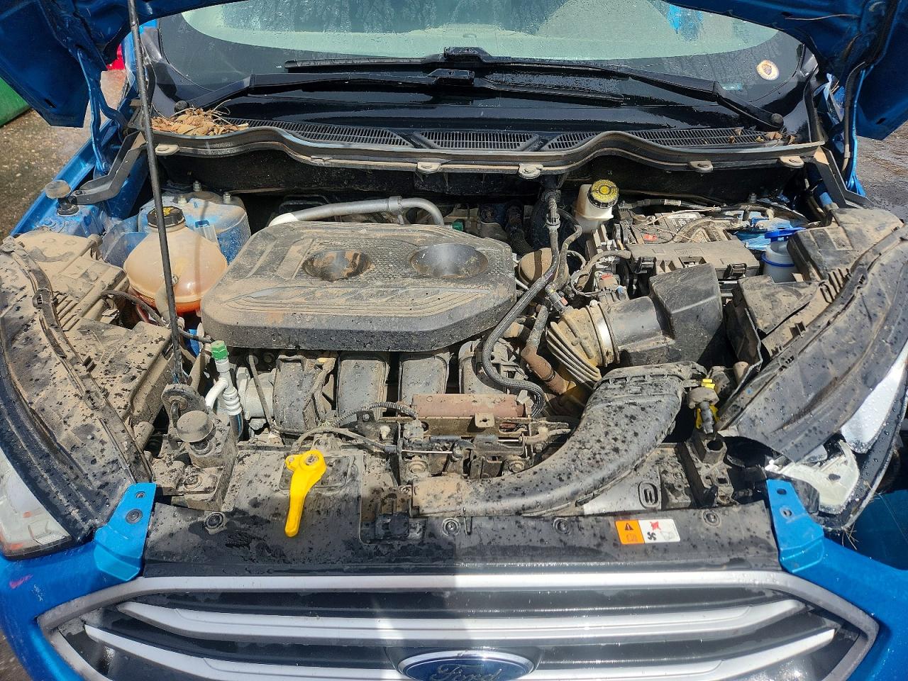 2019 Ecosport VIN MAJ6S3GL4KC279482 photo 11