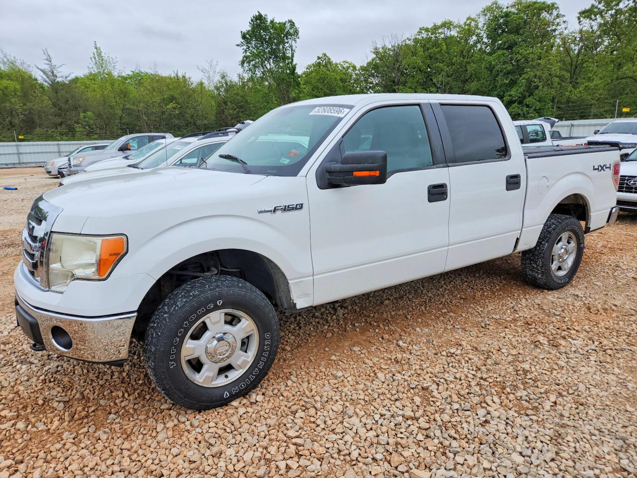 2012 FORD F150 VIN 1FTFW1EF9CFB36592 photo 1