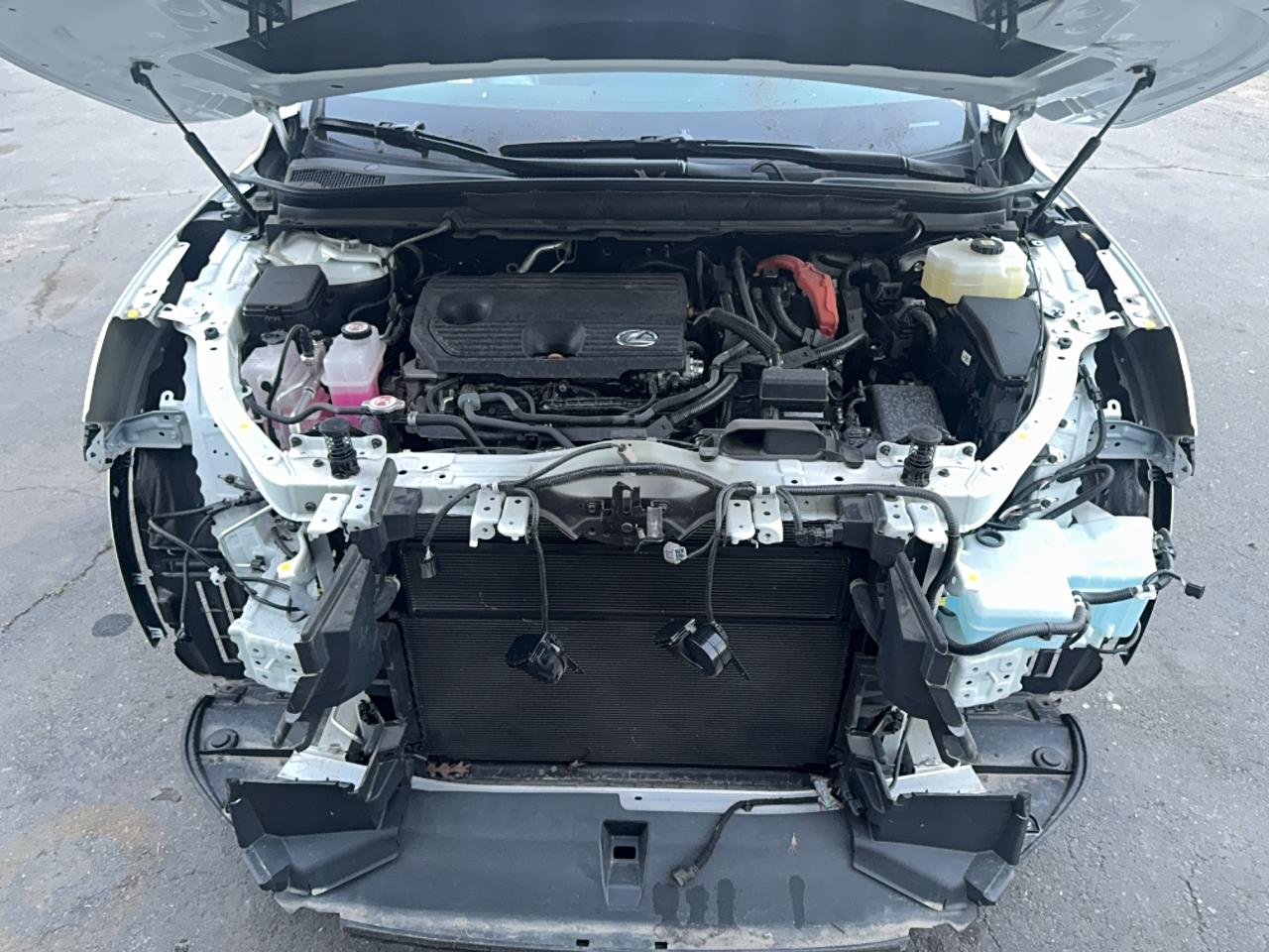 2025 Lexus Rx 350H Premium VIN 2T2BBMCA8SC087438 photo 7