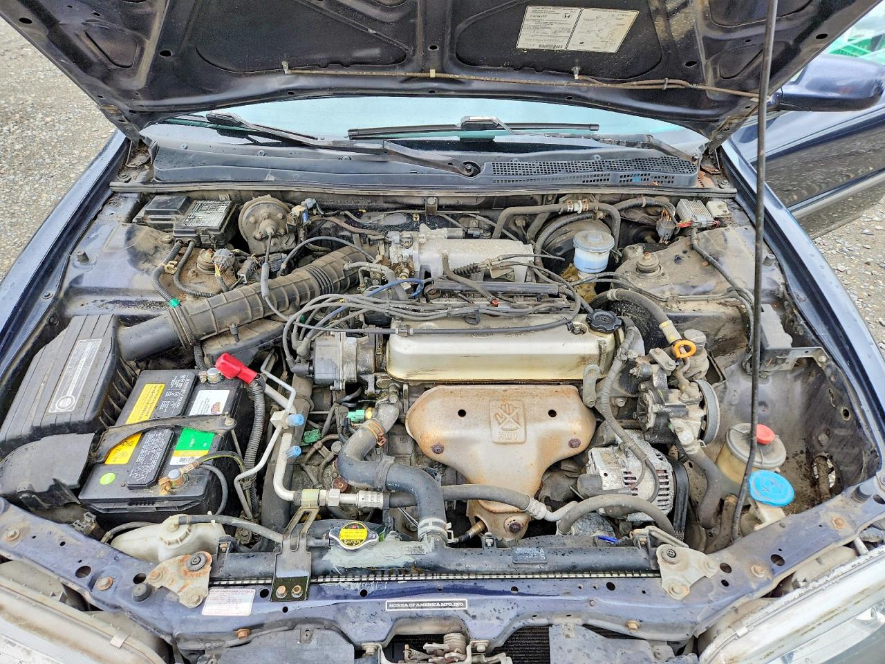 1995 Honda Accord VIN 1HGCE1824SA002150 photo 11