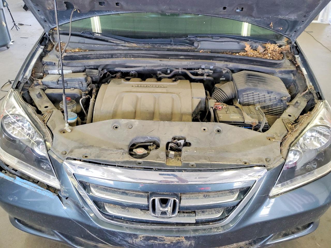 2005 Honda Odyssey VIN 5FNRL38705B136848 photo 12