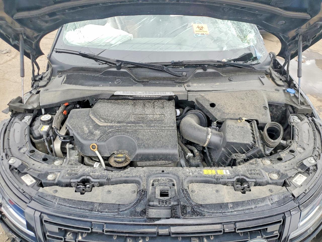 2024 LAND Rangerover VIN SALZJ2FX9RH257489 photo 12