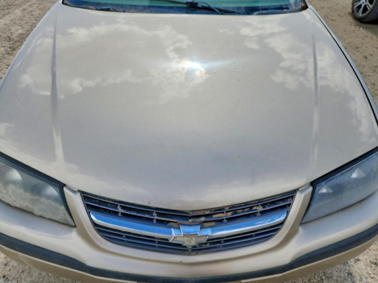 2002 Chevrolet Impala VIN 2G1WH55K129238399 photo 11