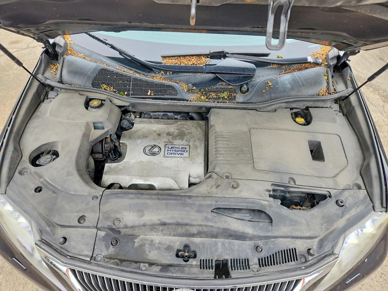 2010 Lexus Rx450 VIN JTJBC1BA0A2020635 photo 12