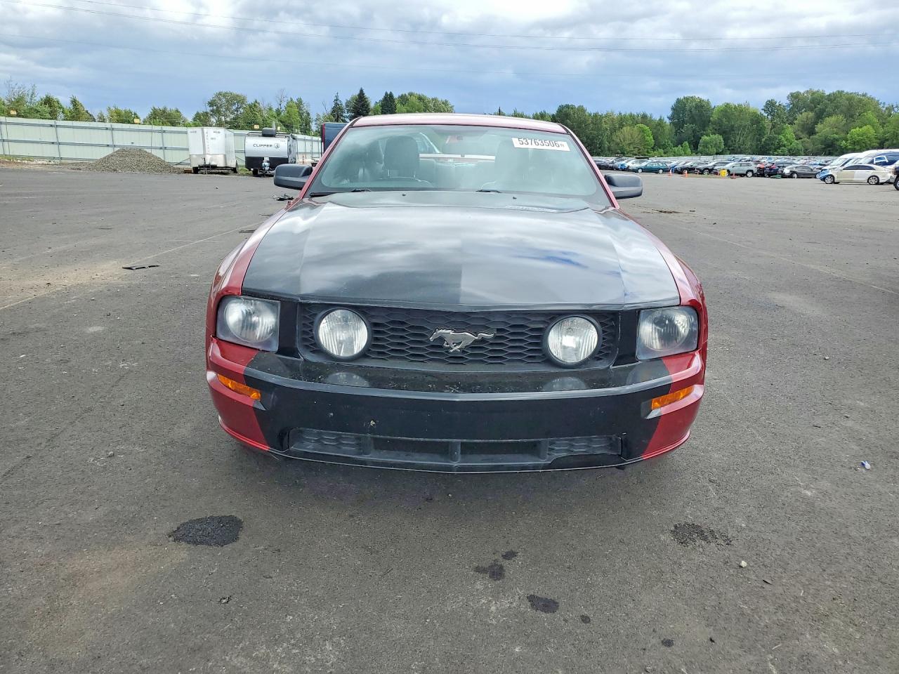 2005 Ford Mustang VIN 1ZVFT82HX55241235 photo 5