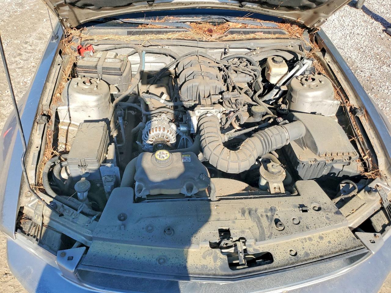 2008 Ford Mustang VIN 1ZVHT80N485136647 photo 11