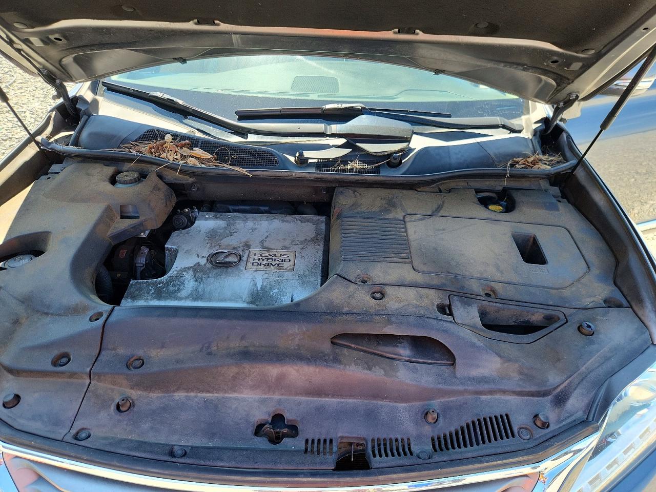 2014 Lexus Rx450 VIN JTJZB1BA3E2413438 photo 12