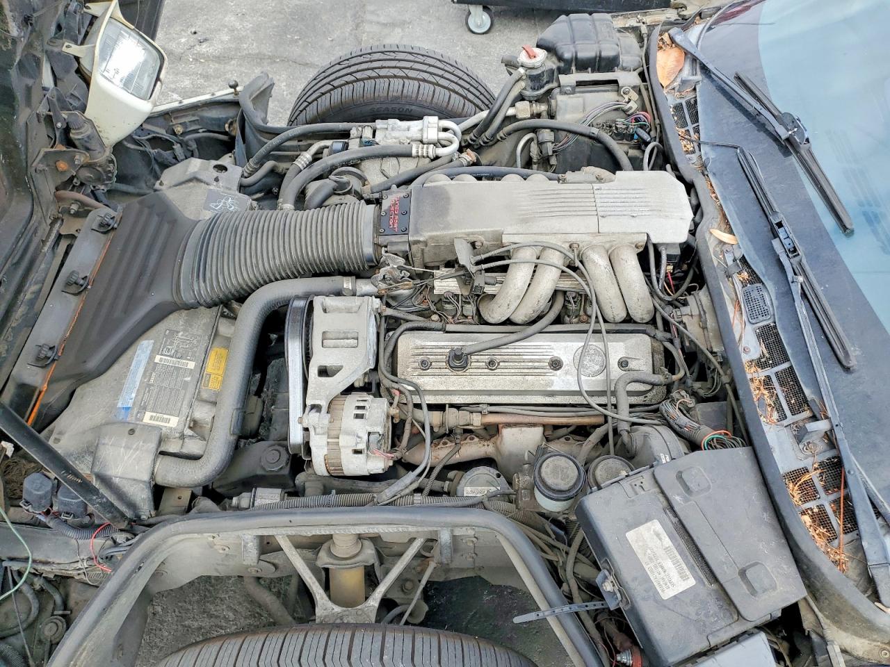 1990 CHEV Corvette VIN 1G1YY2380L5119675 photo 11