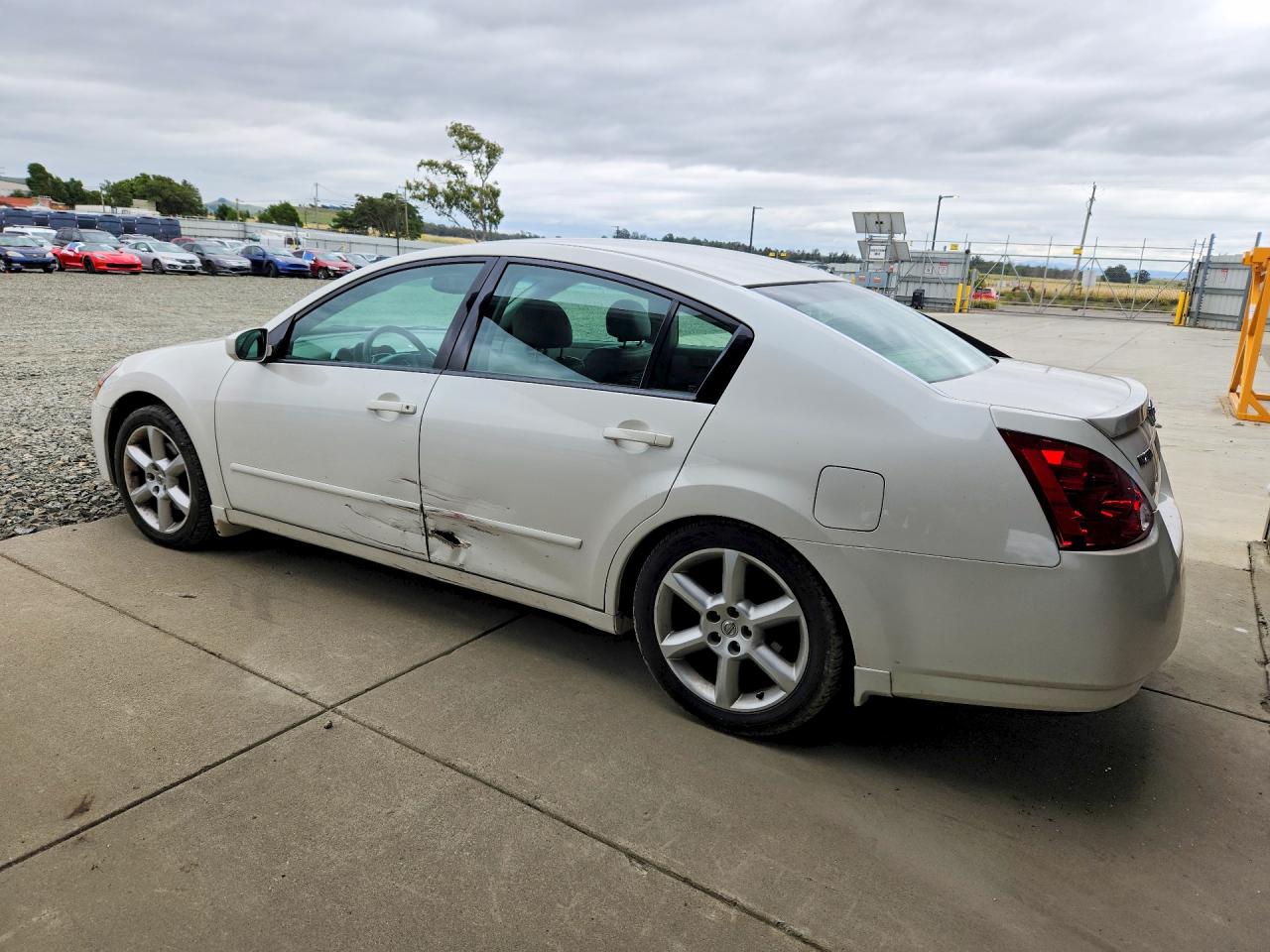 2004 NISSAN Maxima VIN 1N4BA41E94C923899 photo 2