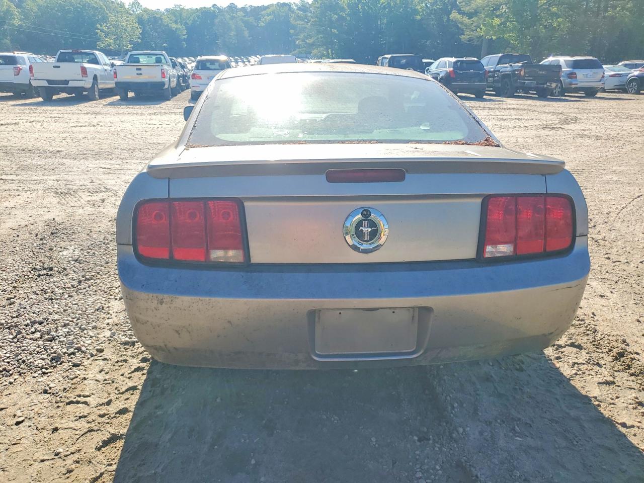2008 Ford Mustang VIN 1ZVHT80N485136647 photo 6