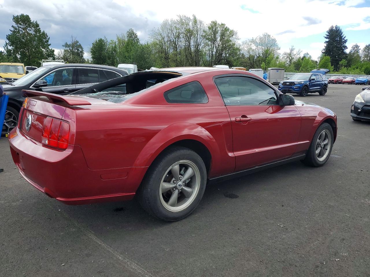 2005 Ford Mustang VIN 1ZVFT82HX55241235 photo 3