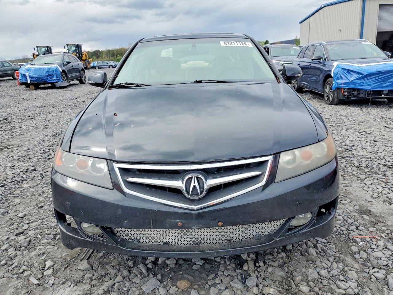 2008 Acura Tsx VIN JH4CL96898C020312 photo 5