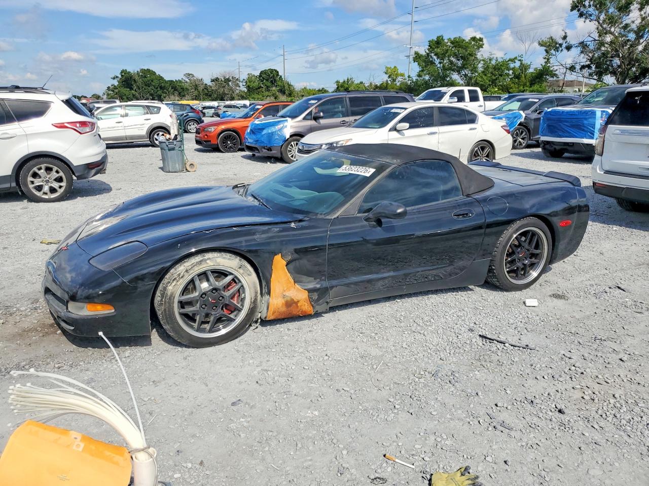 2000 CHEV Corvette VIN 1G1YY32G1Y5131243 photo 1