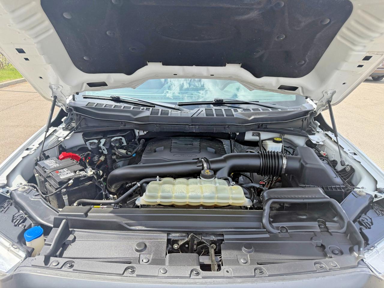 2021 Ford F150 VIN 1FTFW1E89MKE28494 photo 7