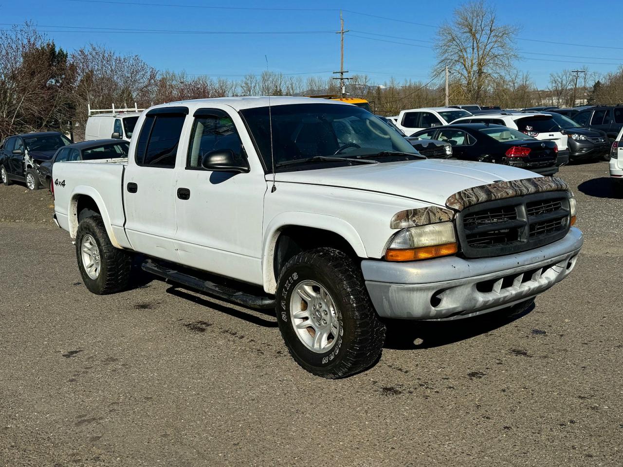 2003 Dodge Dakota VIN 1D7HG38N33S195607 photo 1