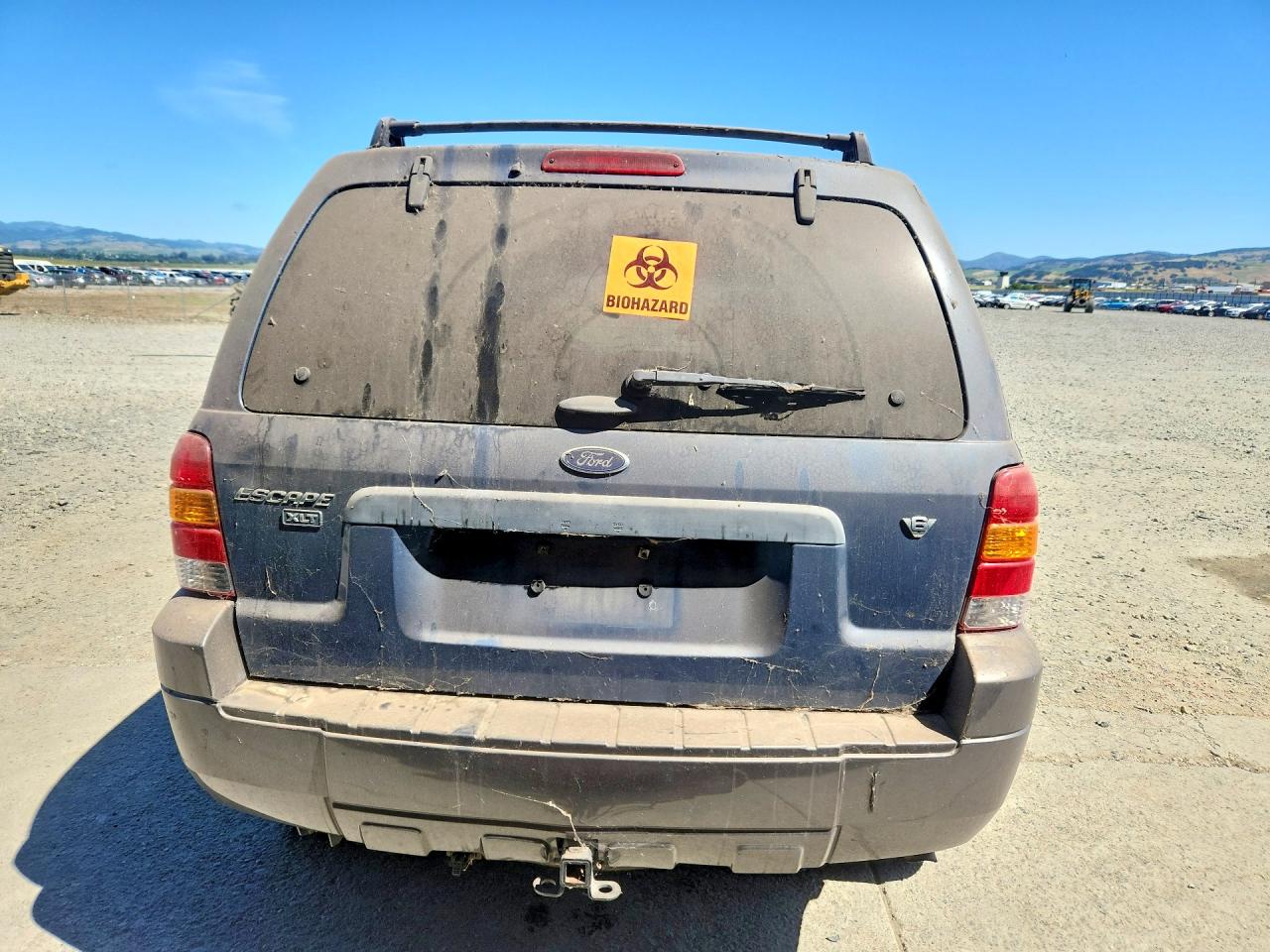 2006 FORD Escape VIN 1FMCU93176KB00390 photo 6