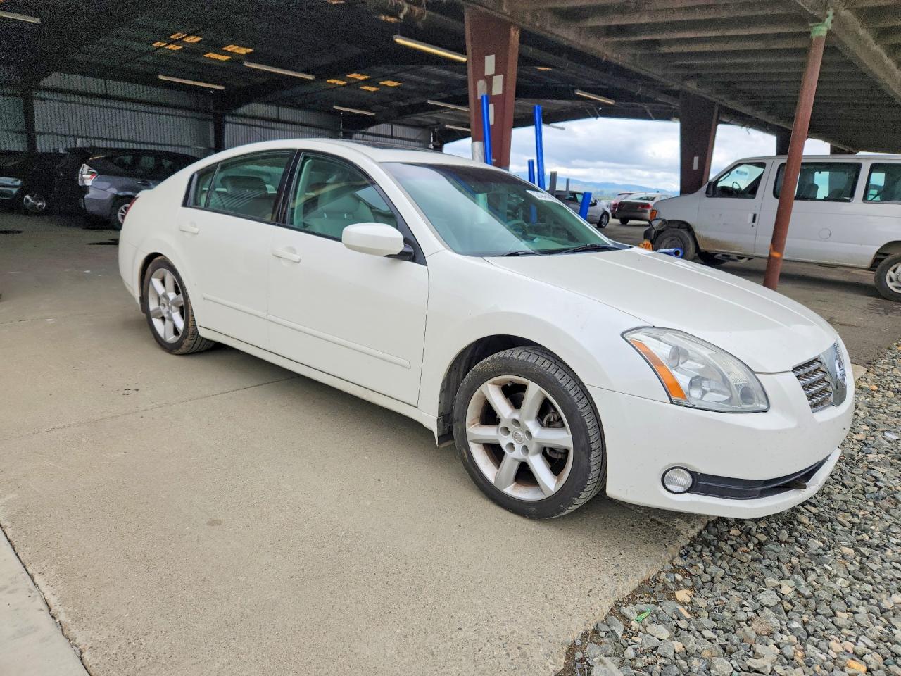 2004 NISSAN Maxima VIN 1N4BA41E94C923899 photo 4