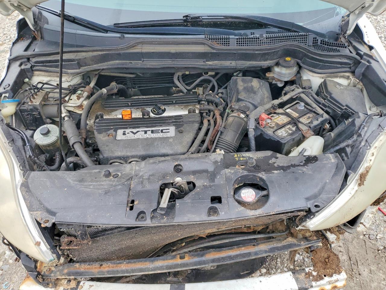 2007 Honda Crv VIN JHLRE48787C064476 photo 12