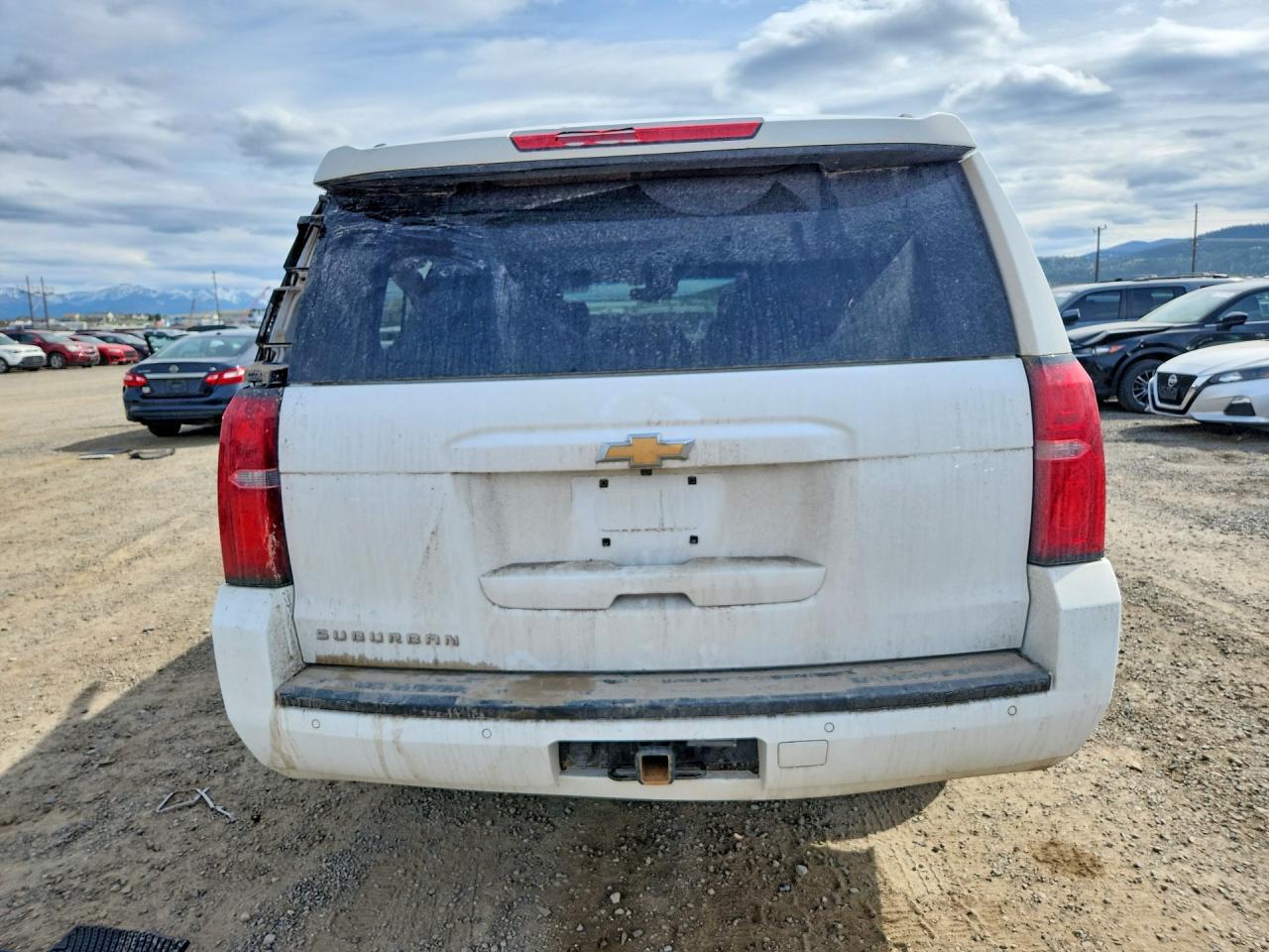2020 Chevrolet Suburban VIN 1GNSKHKC6LR169195 photo 6