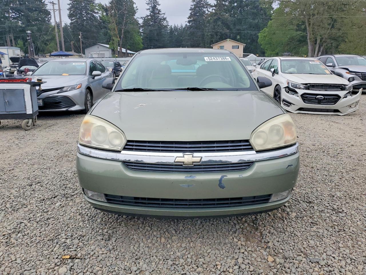 2004 Chevrolet Malibu VIN 1G1ZU64824F238829 photo 5