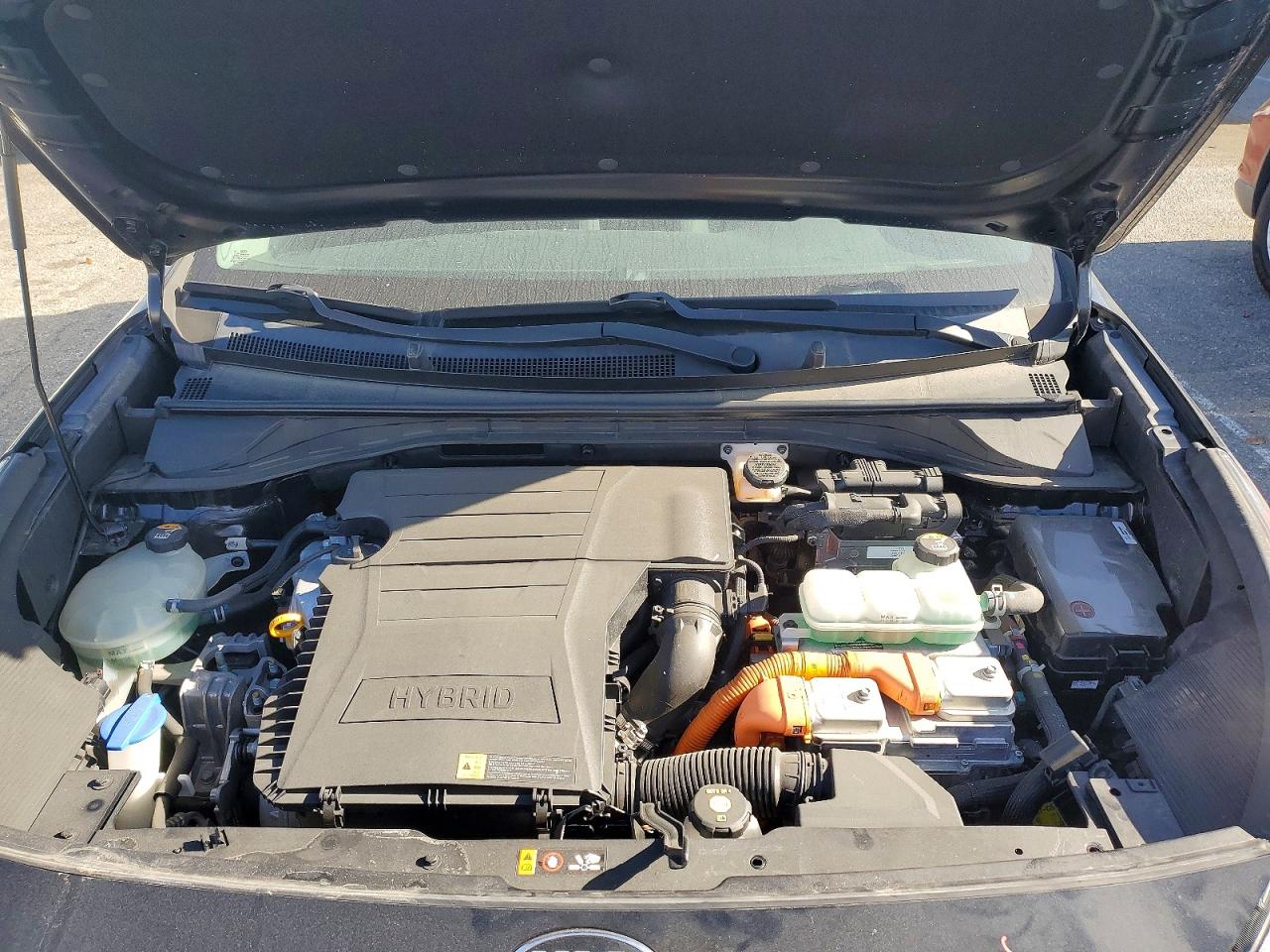 2019 Kia Niro VIN KNDCB3LC0K5341113 photo 11