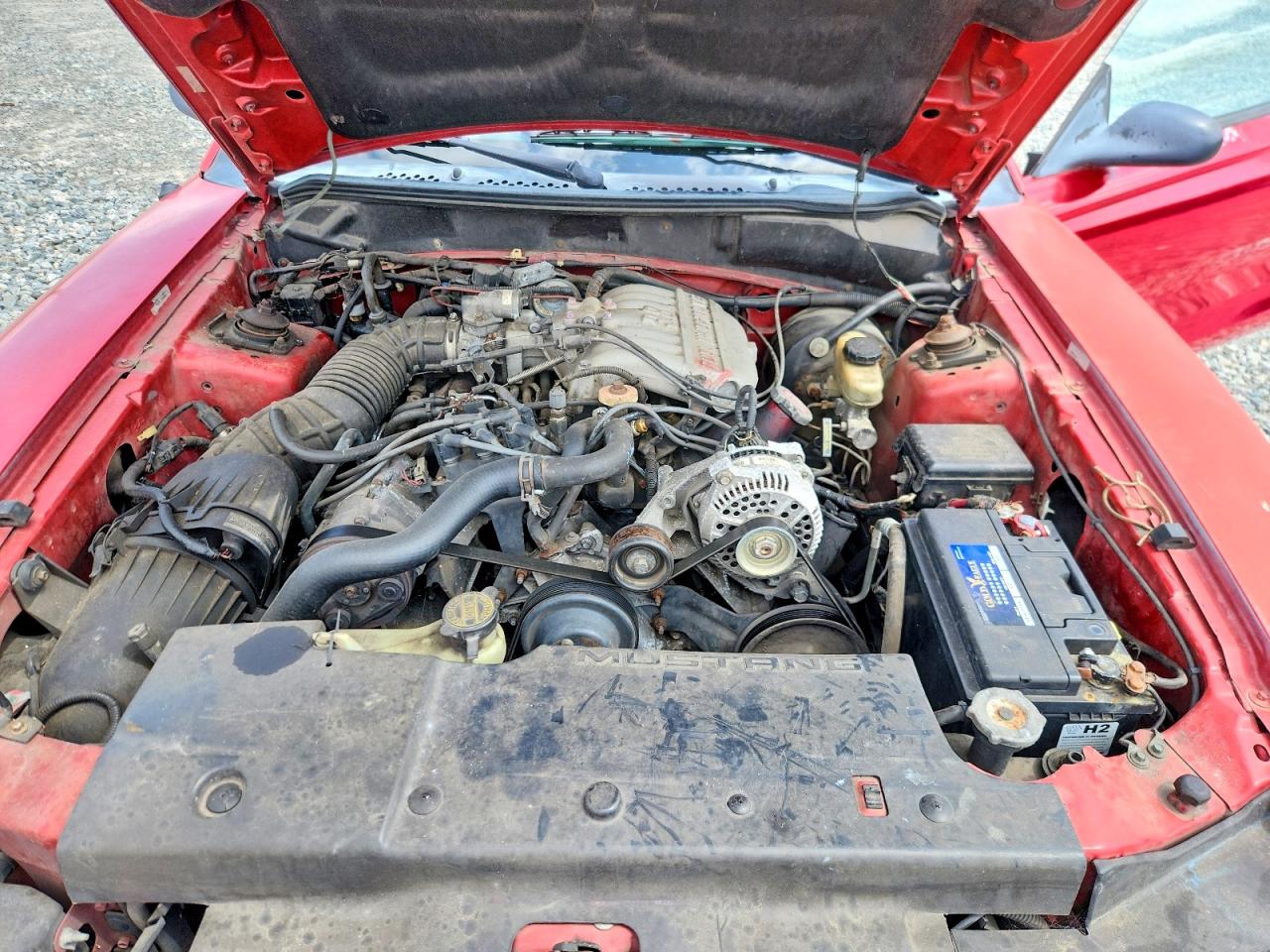 1995 Ford Mustang VIN 1FALP4443SF246849 photo 11