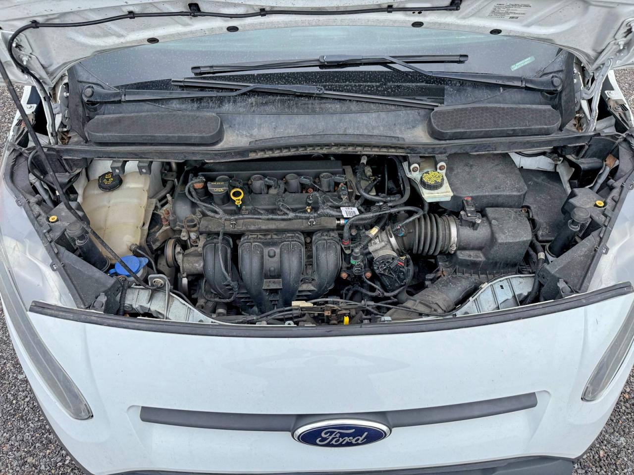 2015 Ford Transit VIN NM0LS7E79F1189141 photo 7