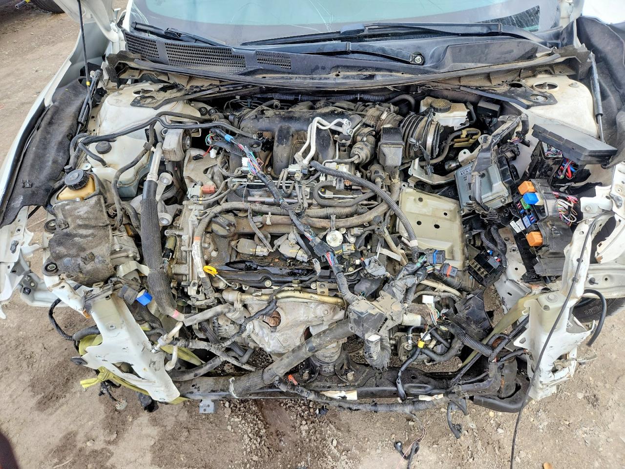 2019 Nissan Maxima VIN 1N4AA6AV3KC383485 photo 11
