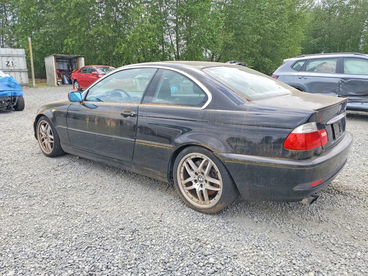 2004 BMW 3 series VIN WBABD53434PD96592 photo 2