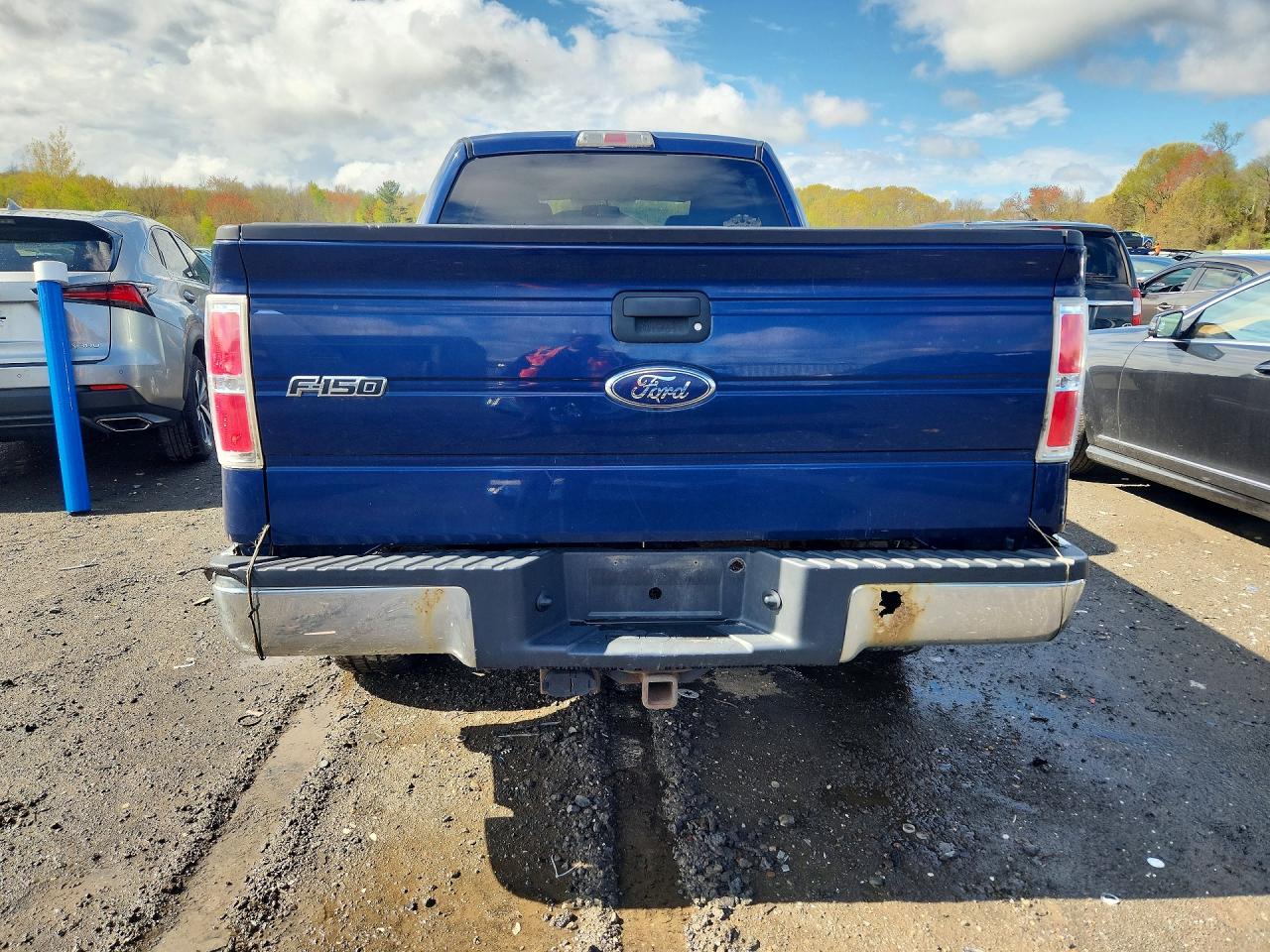 2010 Ford F150 VIN 1FTFW1E83AFA13711 photo 6