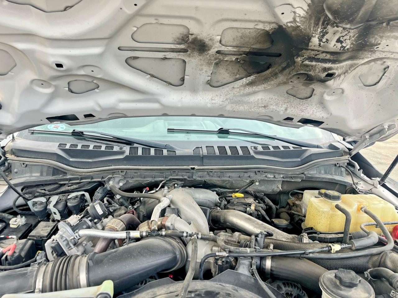 2020 Ford F350 VIN 1FT8W3BT9LEC68806 photo 7