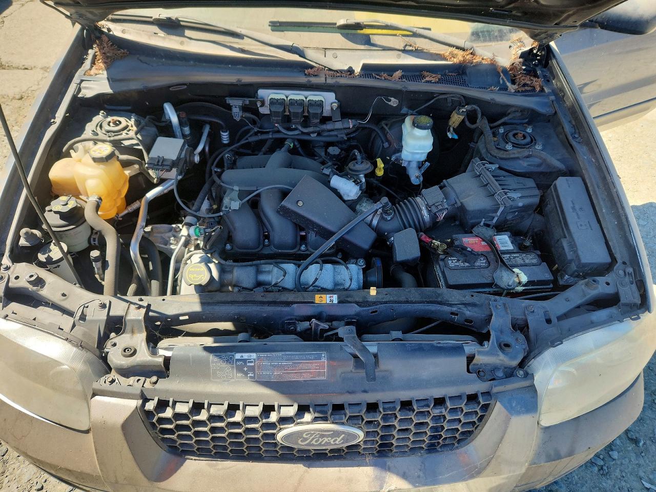 2006 FORD Escape VIN 1FMCU93176KB00390 photo 12