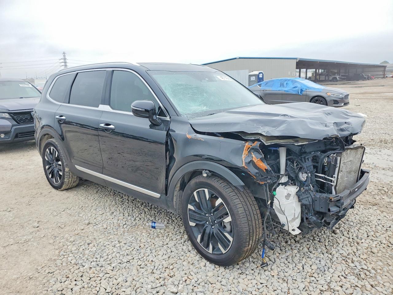 2023 Kia Telluride VIN 5XYP5DGC6PG365312 photo 4