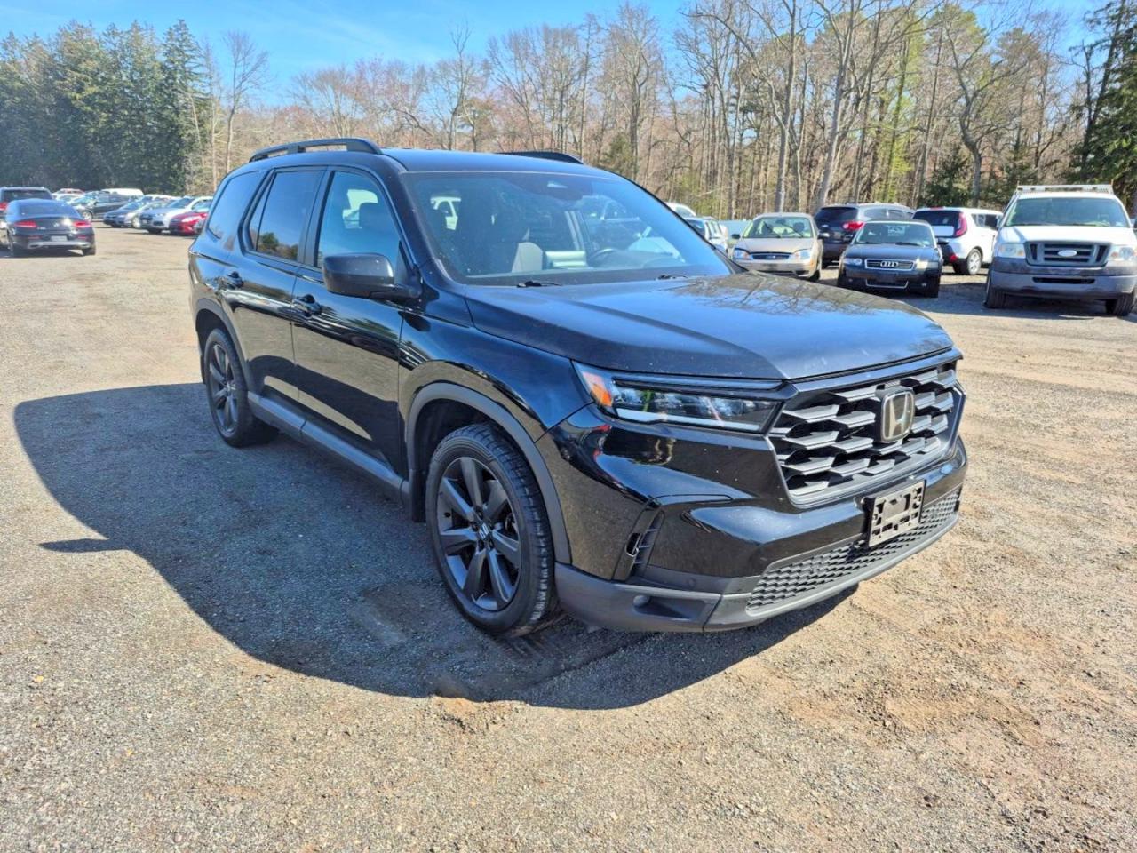 2023 Honda Pilot VIN 5FNYG1H33PB013968 photo 1