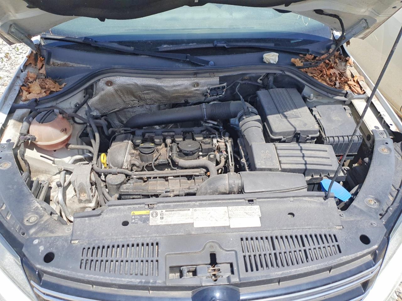 2015 Volkswagen Tiguan VIN WVGBV7AX0FW512888 photo 12