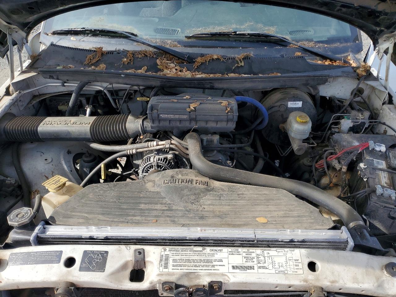 1999 Dodge Ram 1500 VIN 3B7HF13Z0XG122039 photo 11