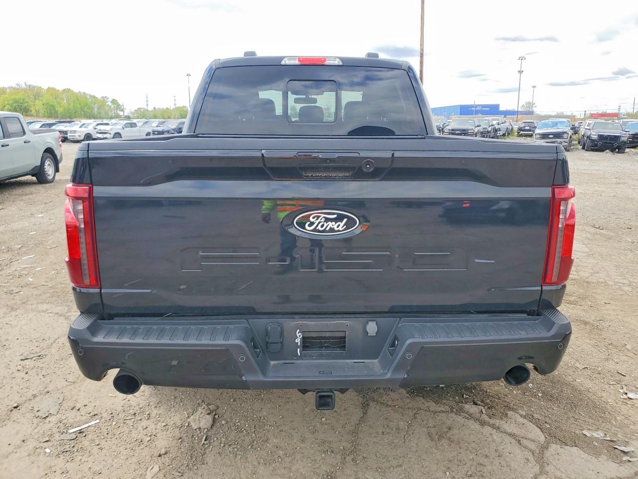 2024 Ford F150 VIN 1FTFW3LD8RFA01691 photo 6