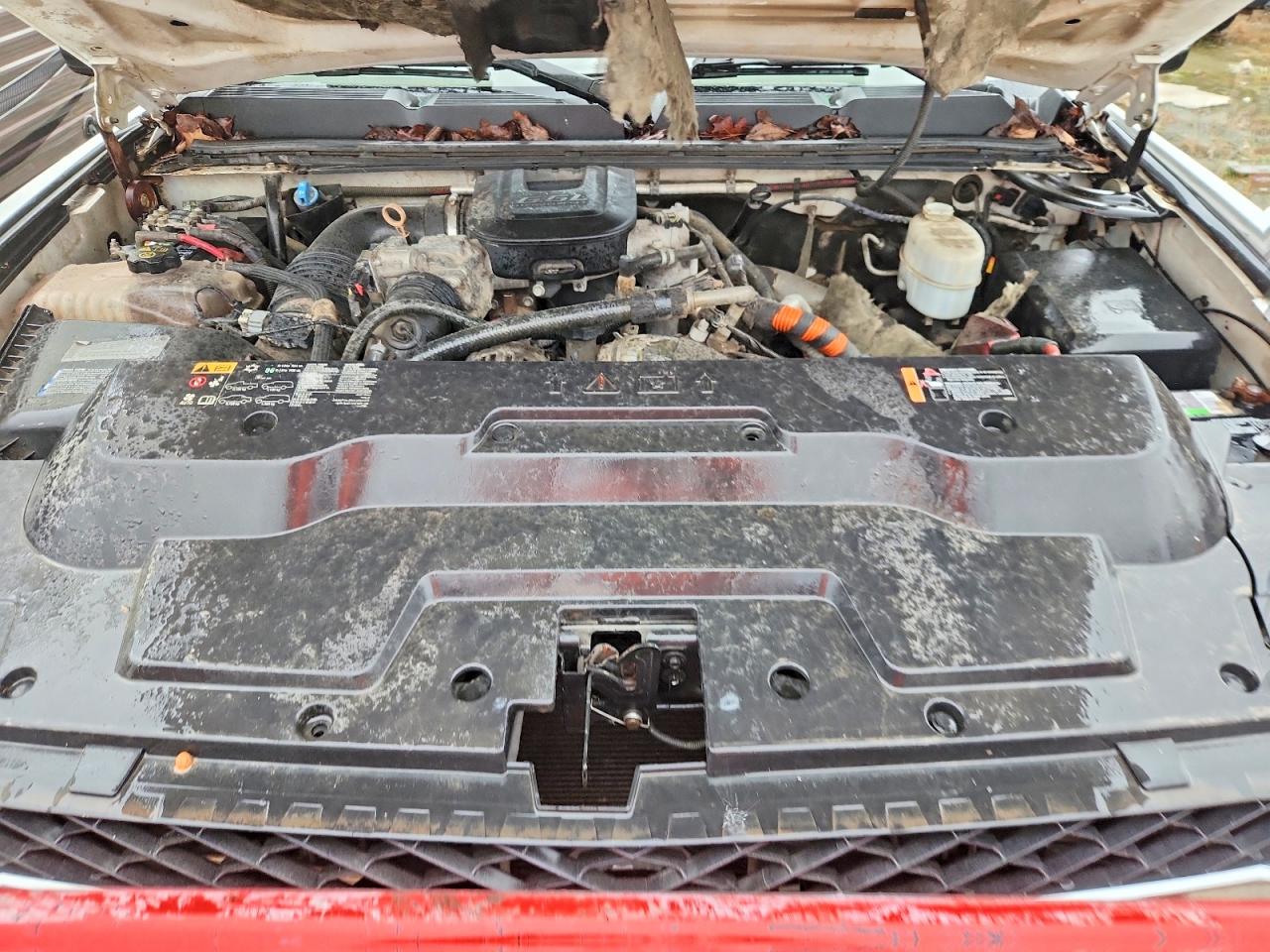 2013 CHEV Silverado VIN 1GB4KZC8XDF199003 photo 11