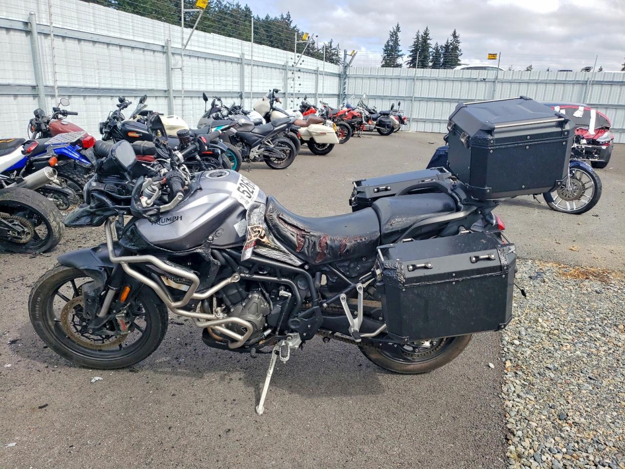 2024 TRIUMPH Tiger VIN SMTE68DGXRTBP3938 photo 3