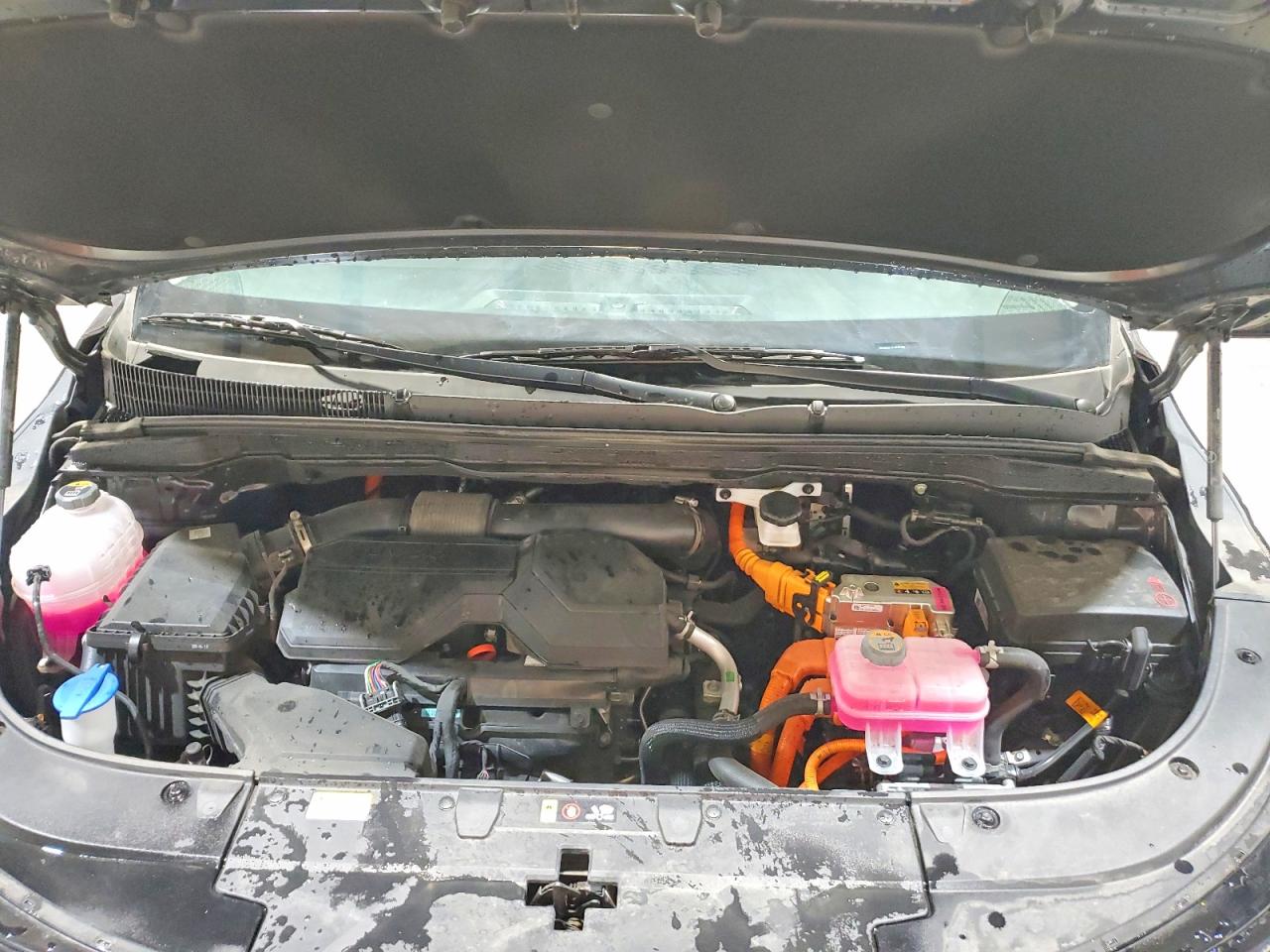 2026 Kia All other VIN KNDNB5KA1T6130289 photo 12